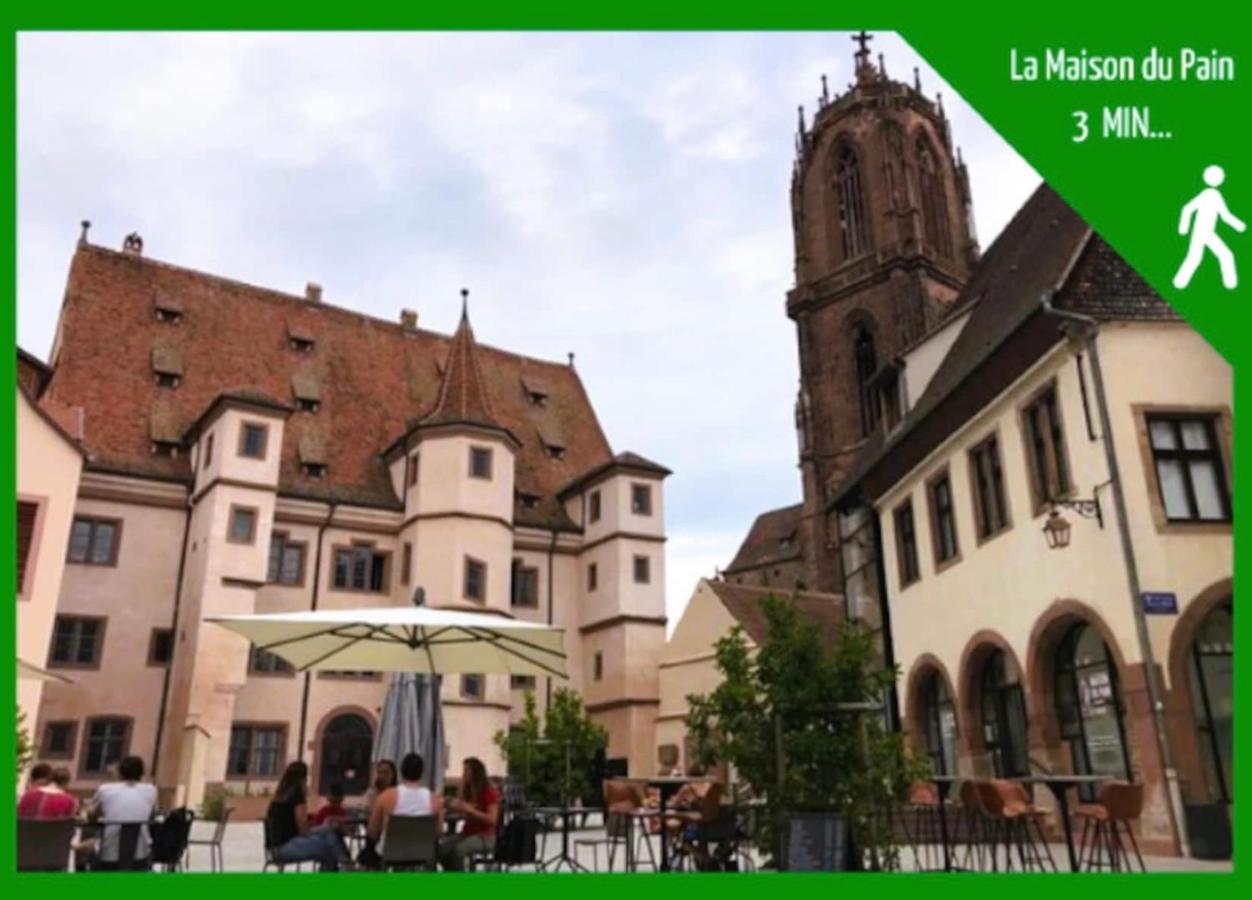La Parenthese Alsacienne Au Coeur De Selestat Leilighet Eksteriør bilde